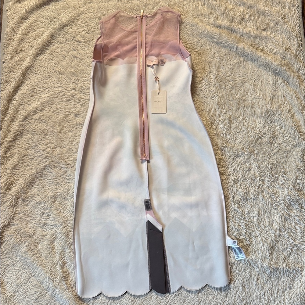 NWT TED BAKER  Arionah Palace Gardens Scallop Dusty Pink dress size 3, size US 8 - Picture 16 of 16